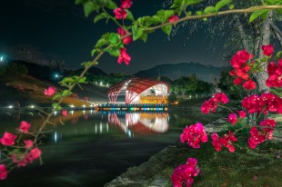 花&ldquo;蛋&rdquo;