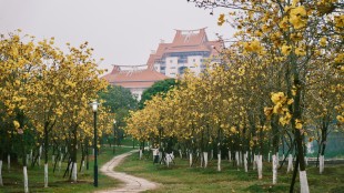 思&ldquo;嘉园&rdquo;，颂&ldquo;嘉&rdquo;景，忆&ldquo;嘉&rdquo;人，怀&ldquo;嘉&rdquo;事