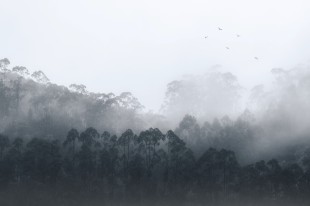 &ldquo;嘉&rdquo;人来信