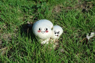 &ldquo;嘉&rdquo;苑有灵