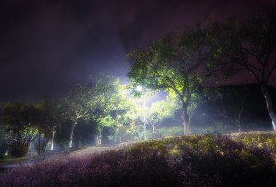 雾漫&ldquo;嘉庚&rdquo;