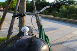 &ldquo;团子家族&rdquo;逛&ldquo;嘉园&rdquo;