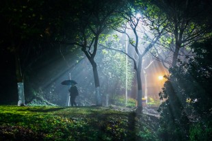 雨后&ldquo;嘉庚&rdquo;