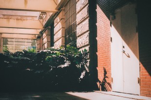 &ldquo;嘉&rdquo;的无尽夏